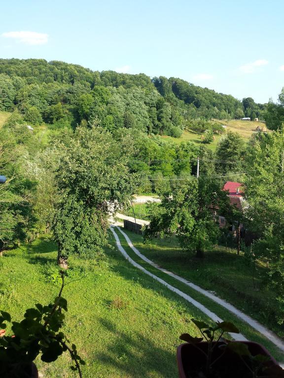 Pensiunea Valea Badilii Valea Iasului Екстер'єр фото