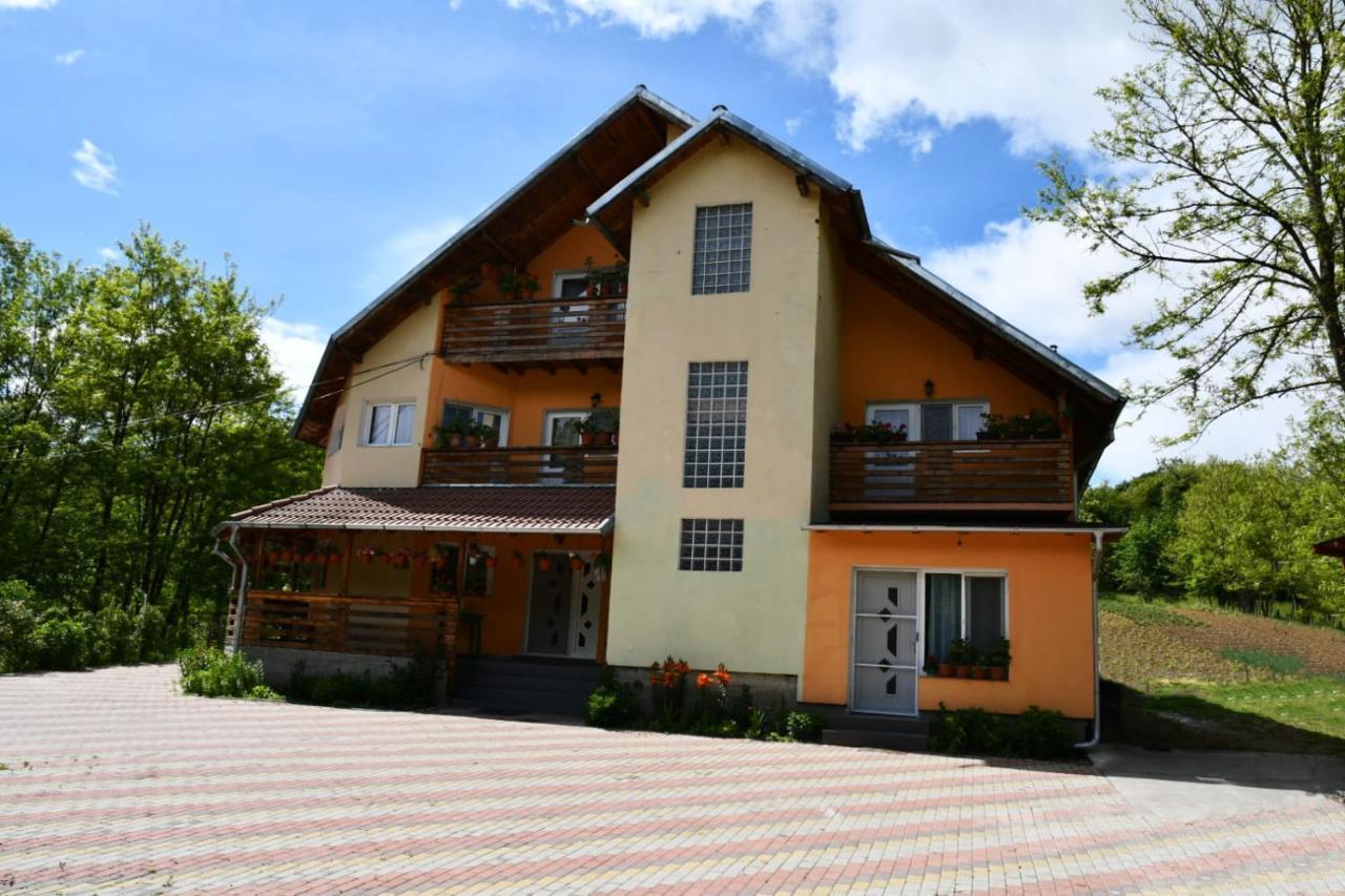 Pensiunea Valea Badilii Valea Iasului Екстер'єр фото