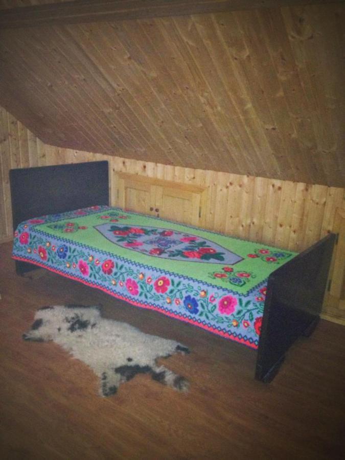 Pensiunea Valea Badilii Valea Iasului Екстер'єр фото