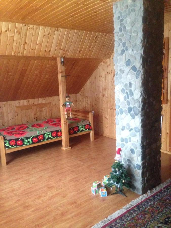 Pensiunea Valea Badilii Valea Iasului Екстер'єр фото